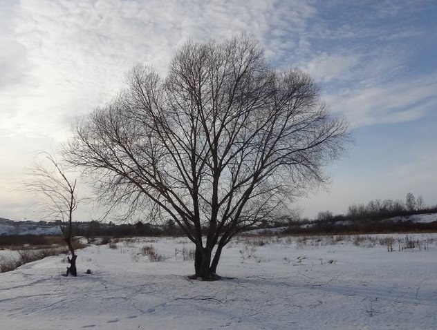 Более белый оттенок белого