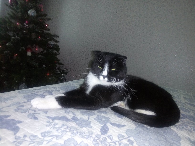 Животворный оберег