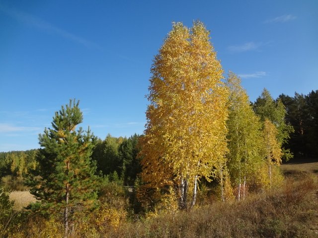 Я позабочусь о тебе в дороге