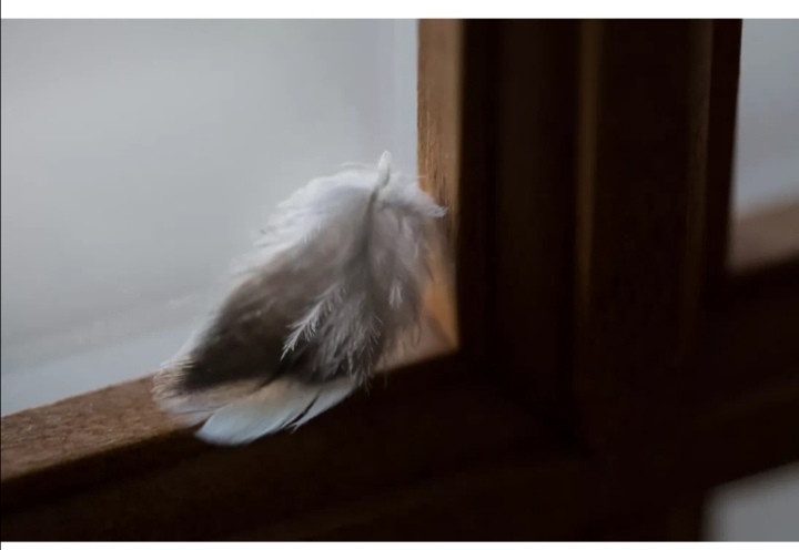 Перышко... (Валентина Зезина) / Стихи.ру