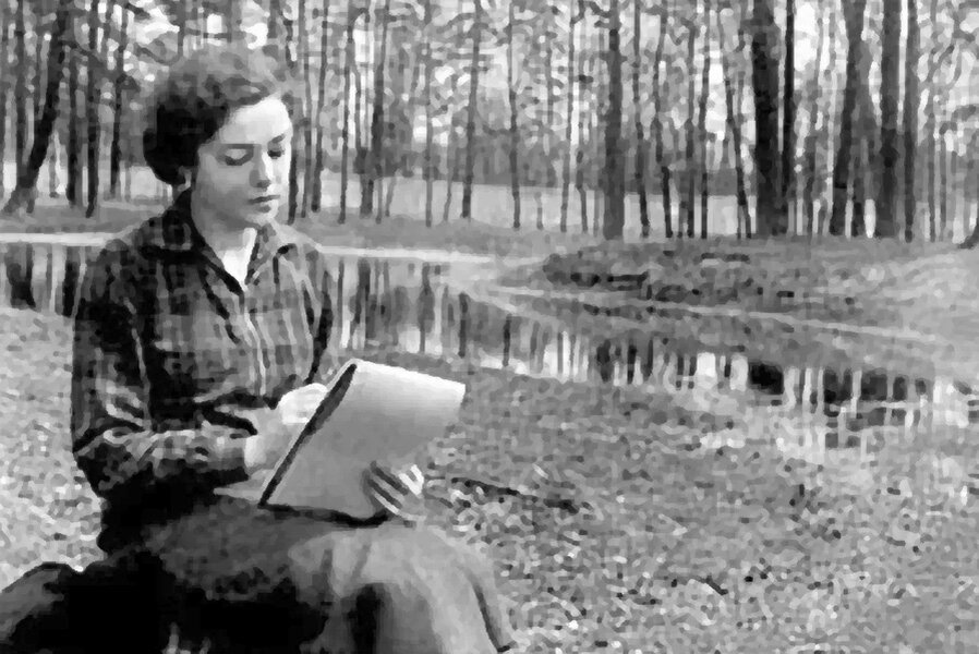 Вероника Тушнова. В лесу