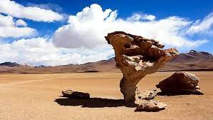 Муравейник Сета