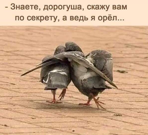 Что греха таить