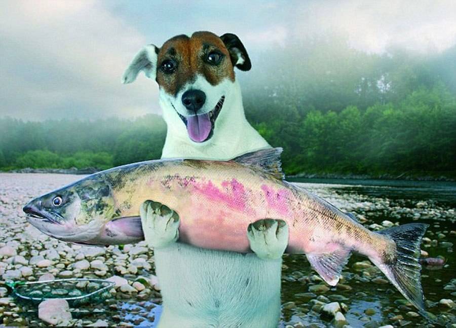 На рыбалку