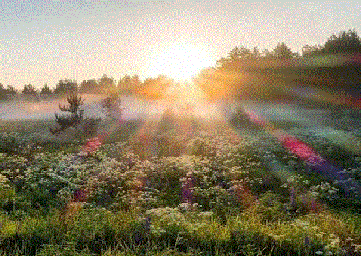 Дасния или Велесыня. глава 5