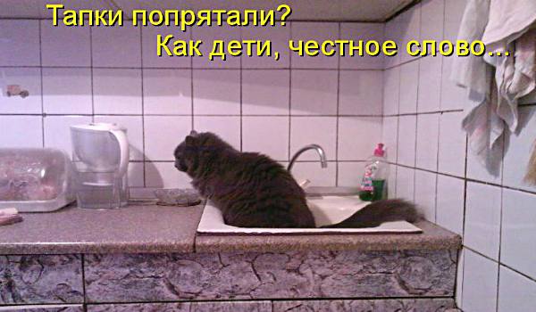 Умудрился!