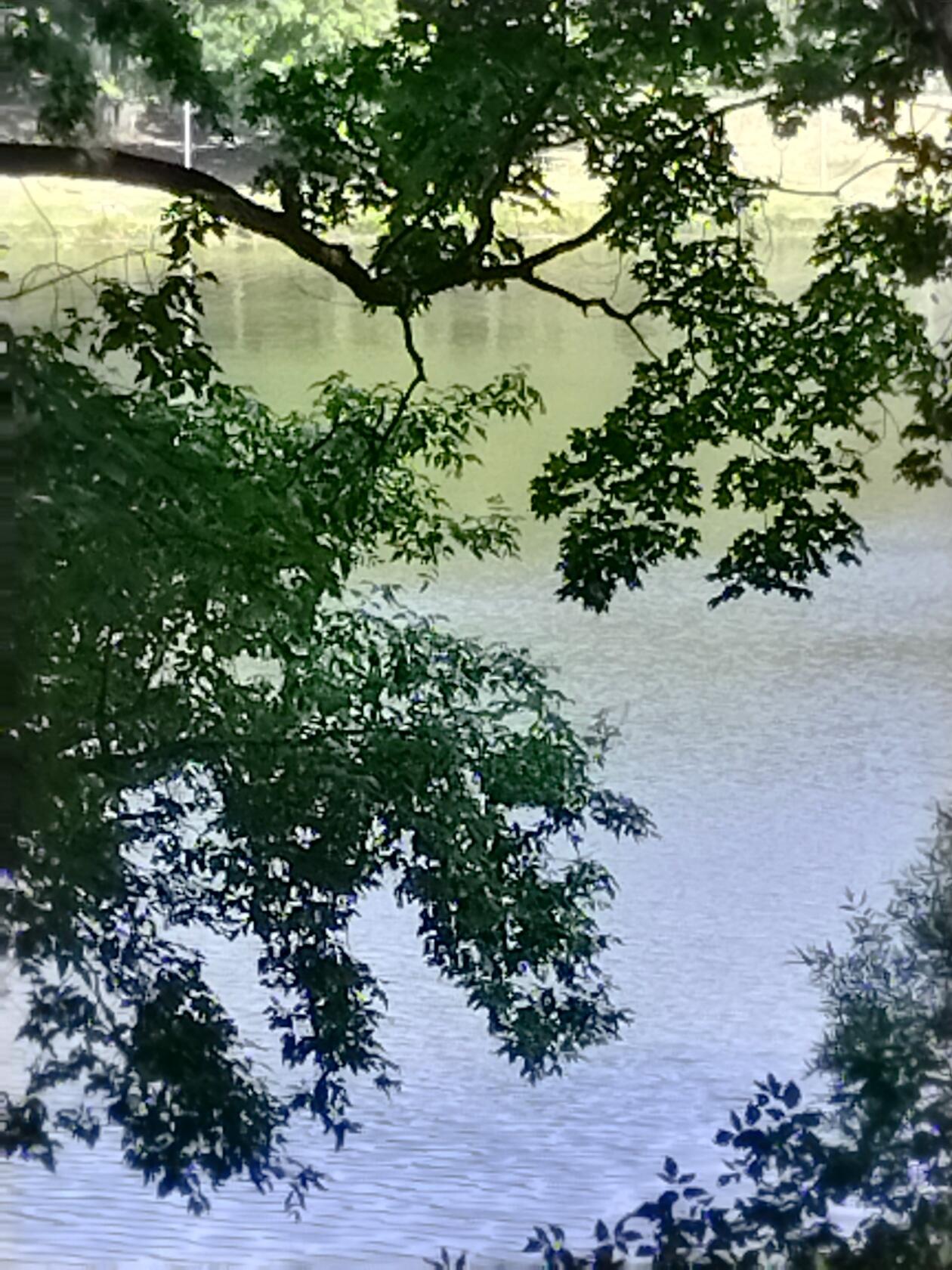 А просто сидеть у воды...