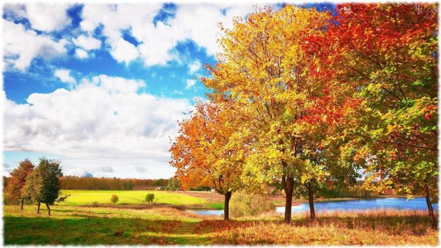 Песенка о моих привычках!