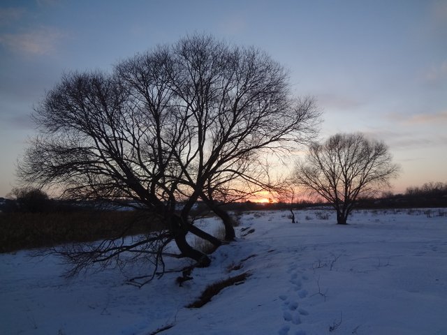 Моя любовь... твоя любовь