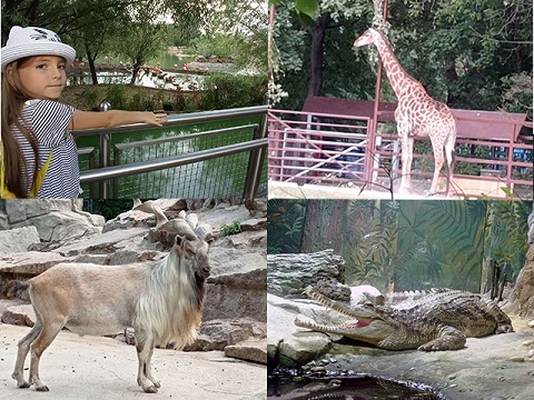 Летом в зоопарке