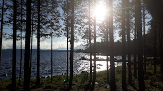 Карельский бальзам