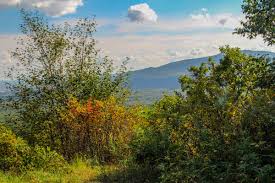 Прощание с летом