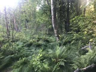 Направление жизни