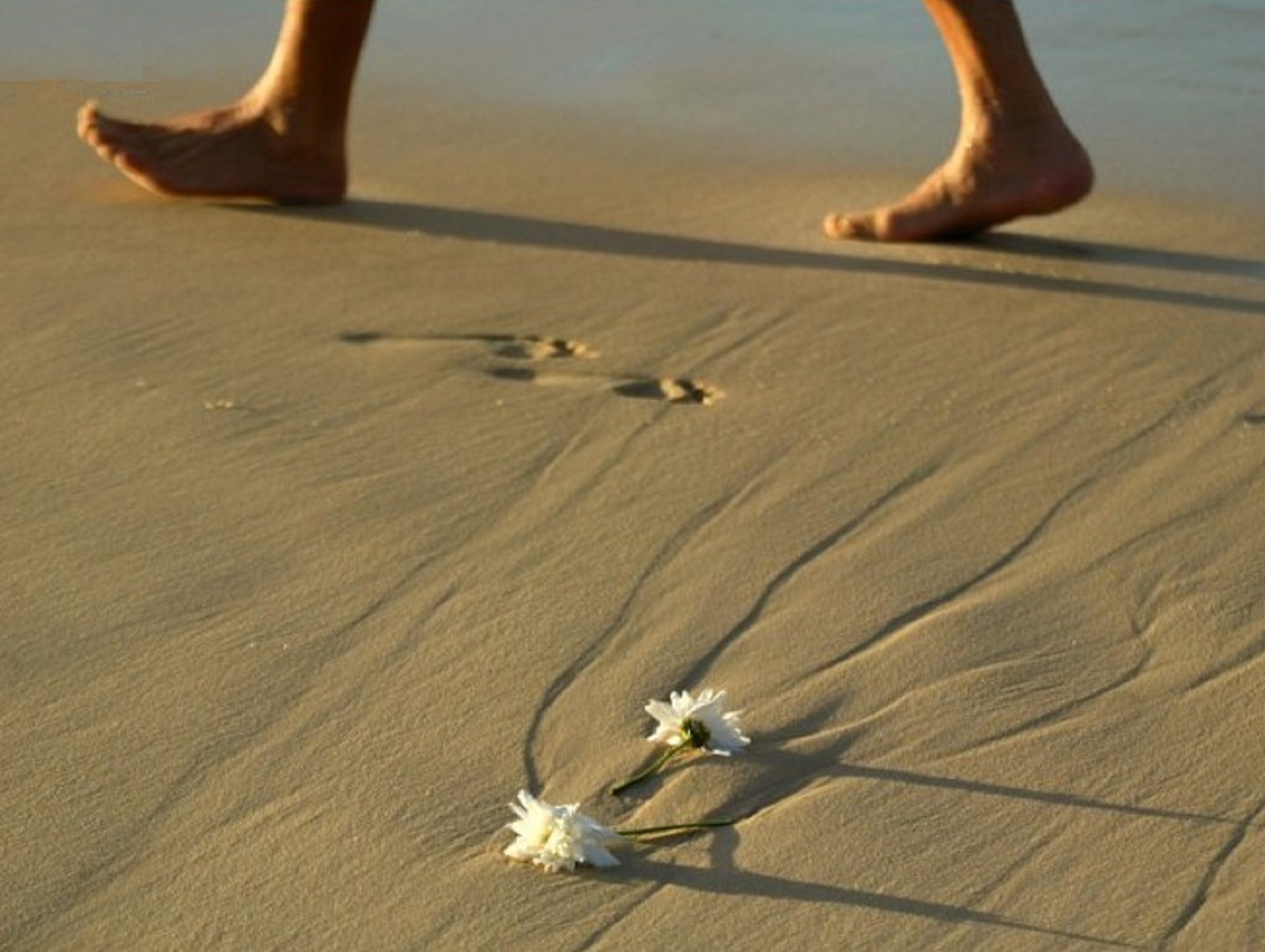 Проходит Лето как то мимо...