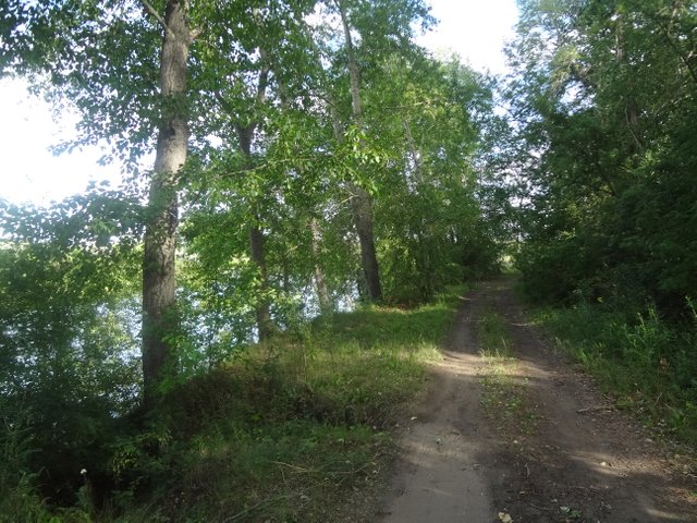 Под тем же солнцем