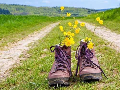 Ботинки и Шнурки