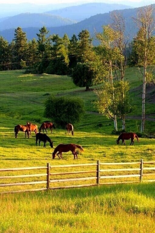 Я природой живу