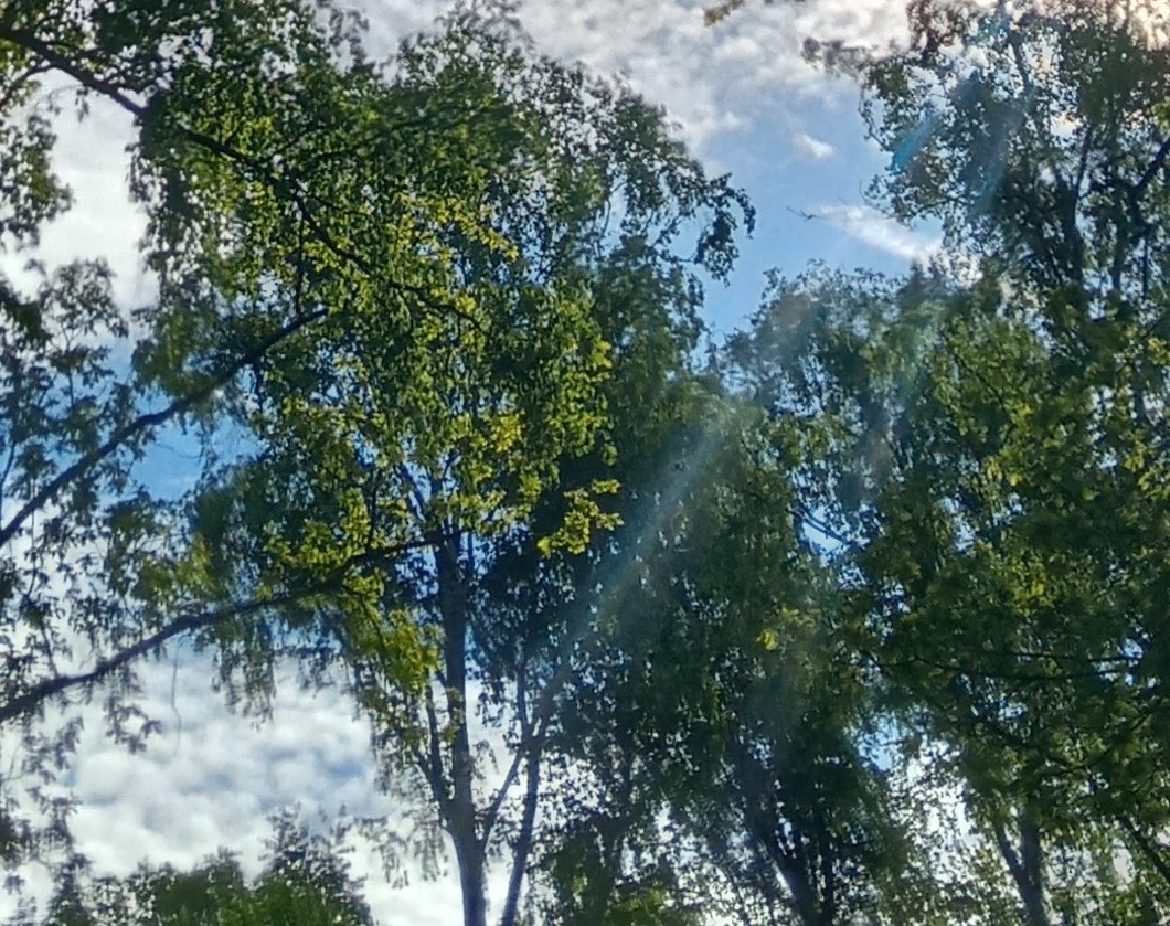 Контуры свободы