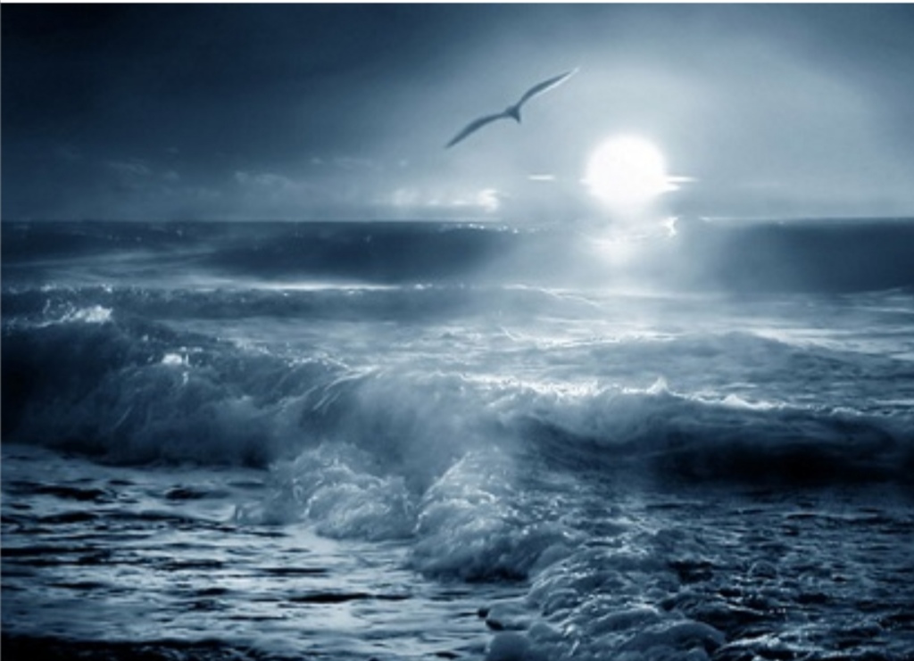 Стихотворение как хорошо ты море ночное. Море шторм. Бушующее море. Море шторм Чайки. Бушующий океан.