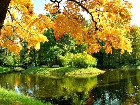 Три ответа- три привета 19