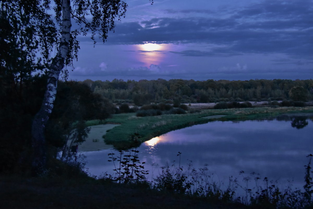 Какая ночь!