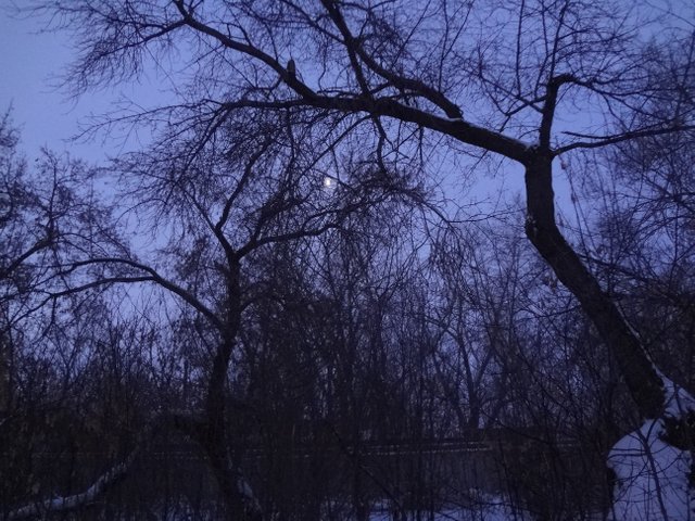 Один на один