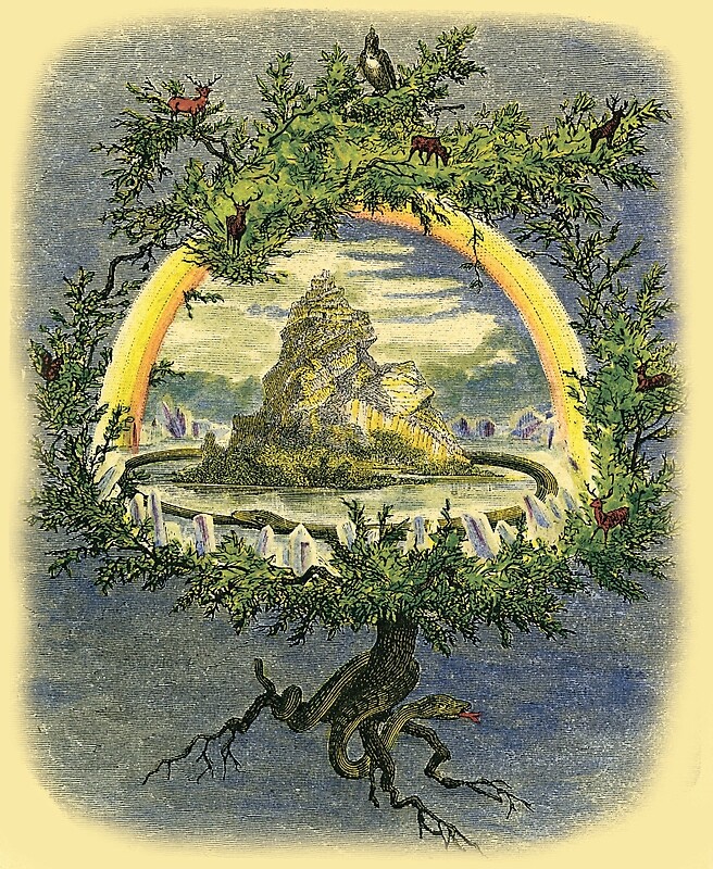 Симбиоз и равновесие