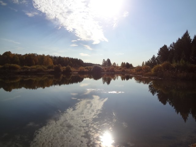 Звук тишины в природе