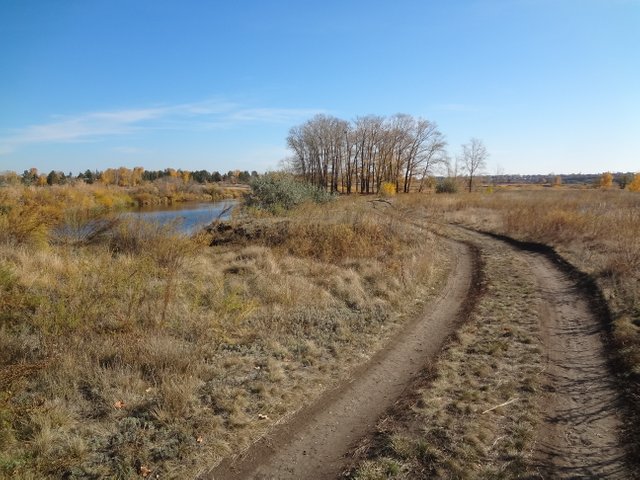 Дорога в горизонты непростая