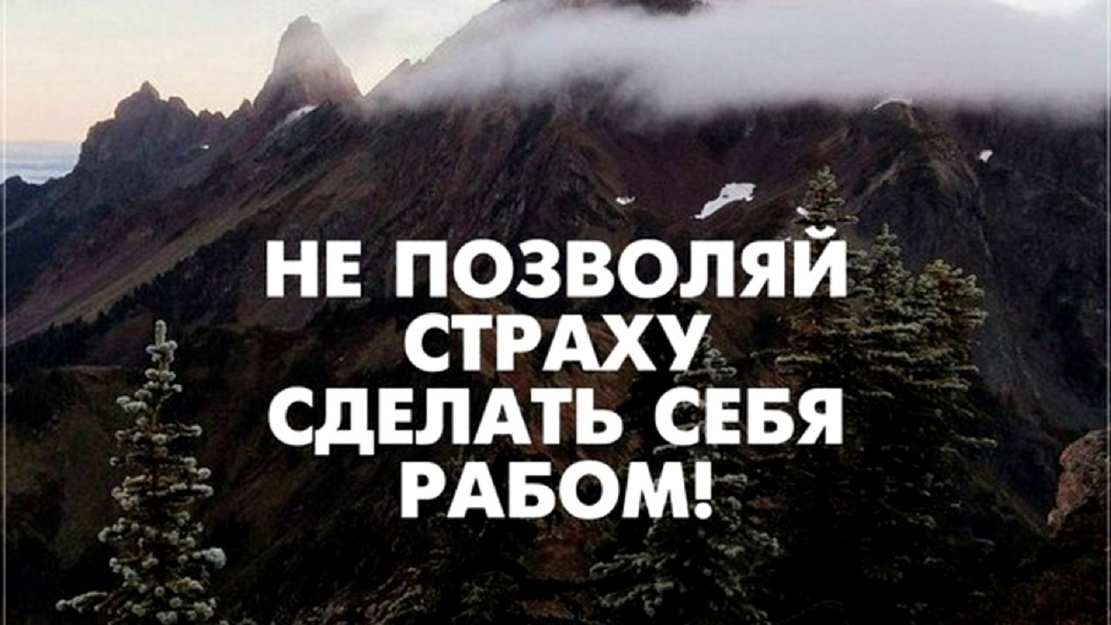 Самая большая мотивация. Мотивирующие высказывания. Мотивационные фразы. Мотивационные цитаты. Мотивация цитаты.