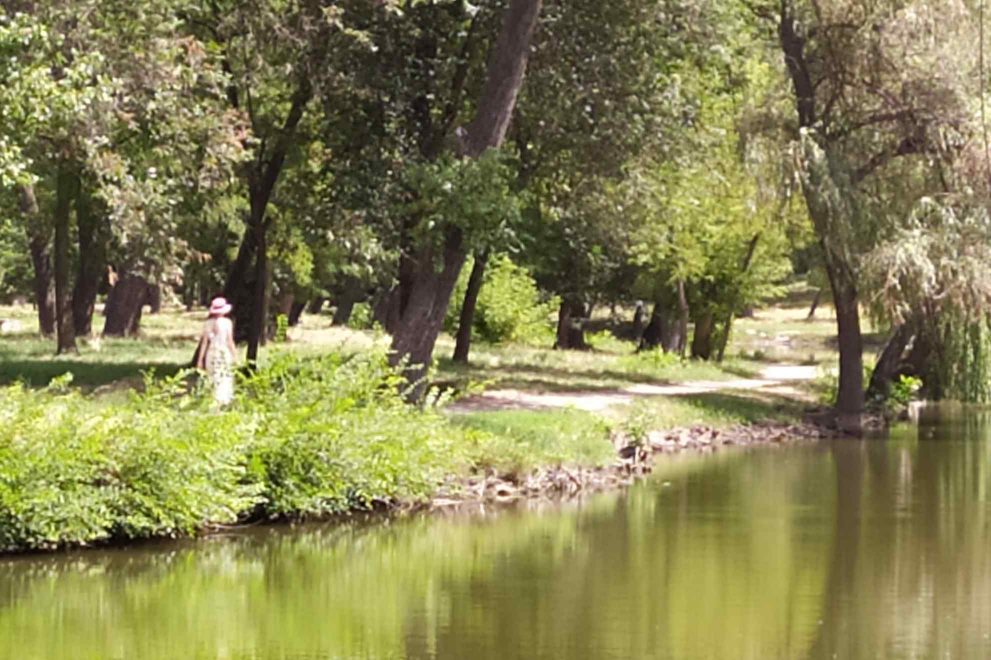 Ускользающим силуэтом...