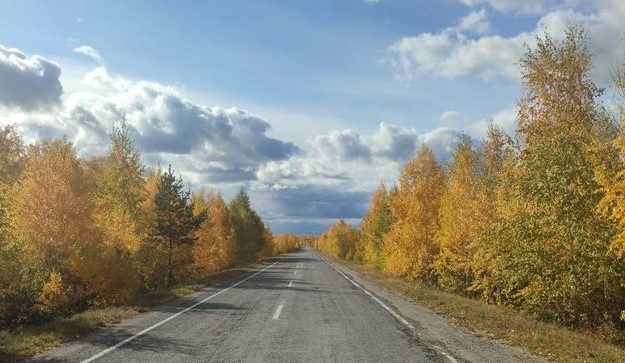 Чудесная жизнь в пути