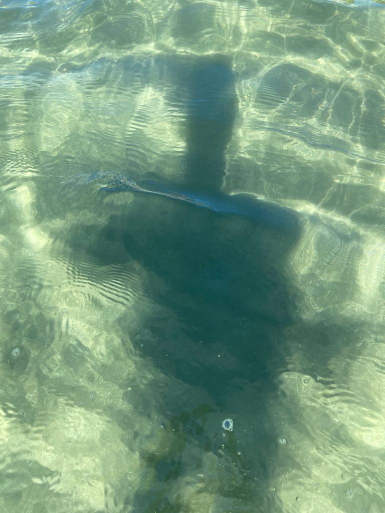 Привкус мгновения