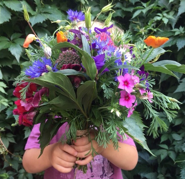 Летняя грусть. Августа последние дни