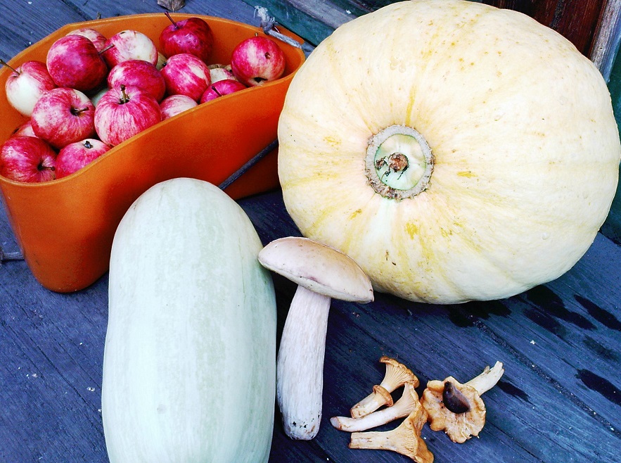 Я тыкву чудную взрастила. Классический рондель