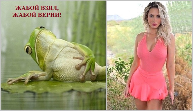 Всё! Жабой взял, той жабою верни!