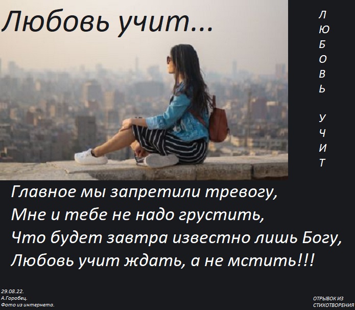 Человек который любит учить. Человек который любит учить. Умный любит учиться а дурак учить чехов. Чехов дураки любят учить. Человек который любит учить.