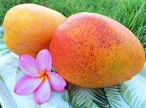 Гавайи 3. Манго