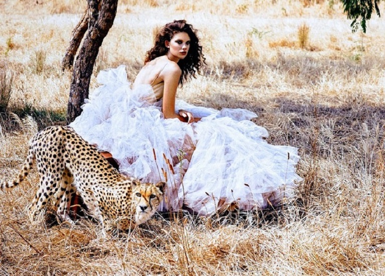 Зеленый Кролик, Потерянный Рай и Родники Пустыни (Евгения Кашникова ...