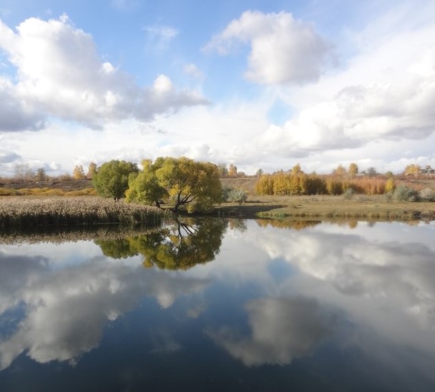 Вечность и покой