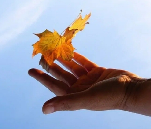 НЕ уходи лето, не уходи... 31. 08. 2022г