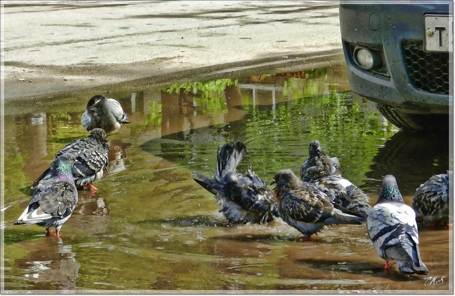 Дождь прошёл