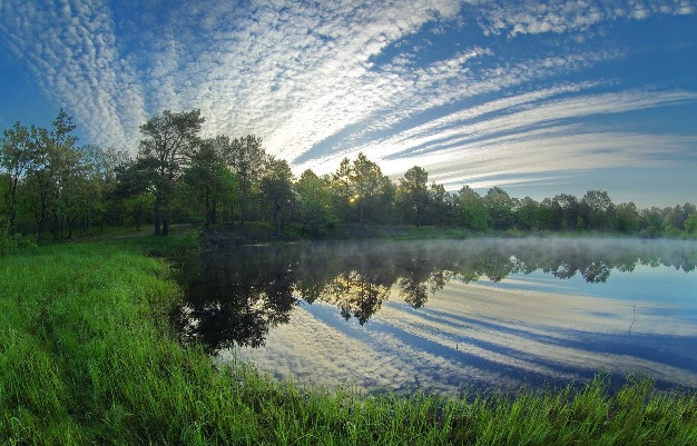 Мне снятся сны о мирном небе...