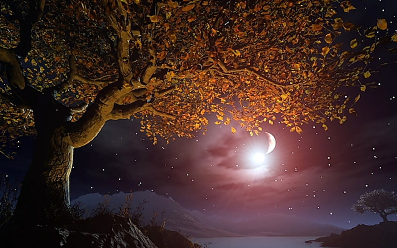 Озаренные сиянием луны. Осенняя ночь. Осень ночь. Красивая ночь. Лунная ночь.