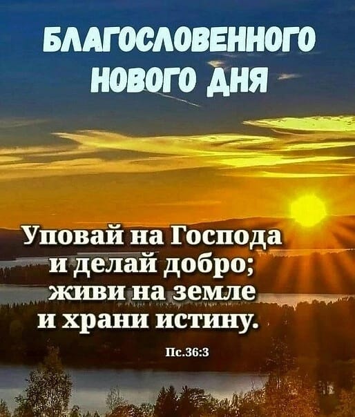 Не проходите мимо! (Ирина Загуменнова) / Стихи.ру