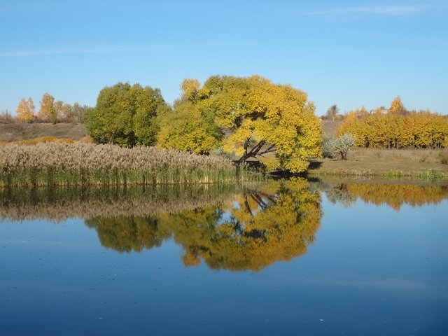 Вот сентябрь наступил