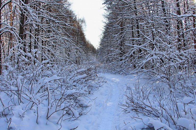 Пороша (Галина Аралина) / Стихи.ру