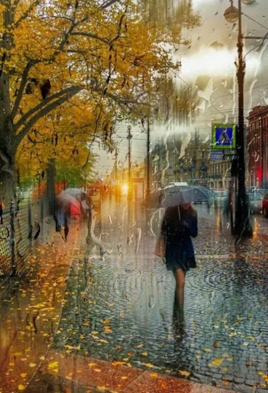 Сжигает осень летние изыски...