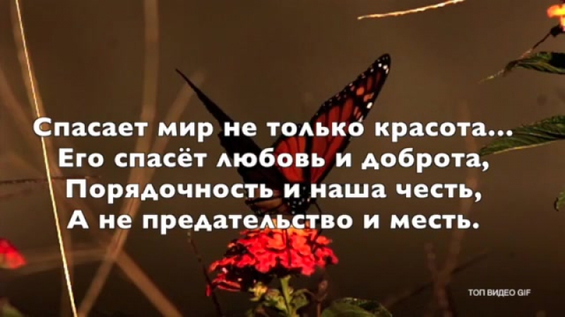 Заблудшие души