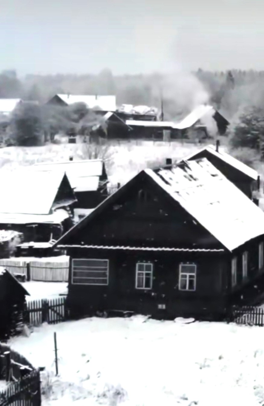 Зимнее одурение